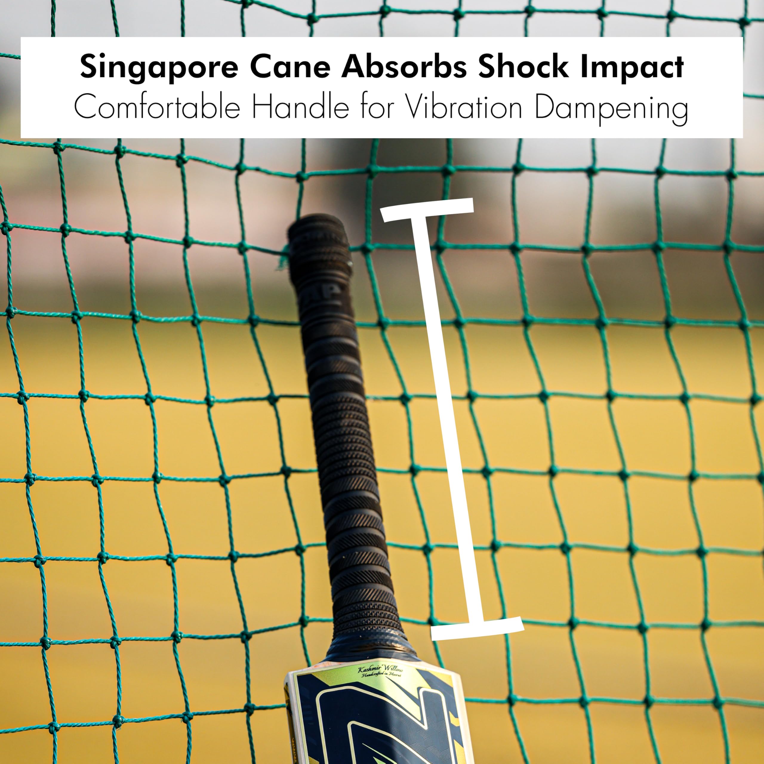 ZAP Alpha Kashmir Willow Cricket Leather Bat (Size 6) for Boys 12-14 Years | Grade 1 | Lightweight Professional Season Bat for Leather Ball | Singapore Cane Handle | Zero Shock Handle | Free Cover 3