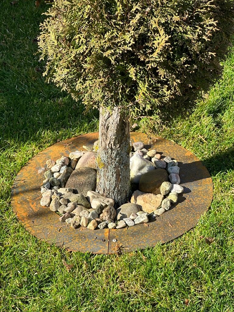 Rasenkanten Baumring FLACH aus Cortenstahl Ø 30/60 cm Mähroboter Mähkante für Bäume und Sträucher