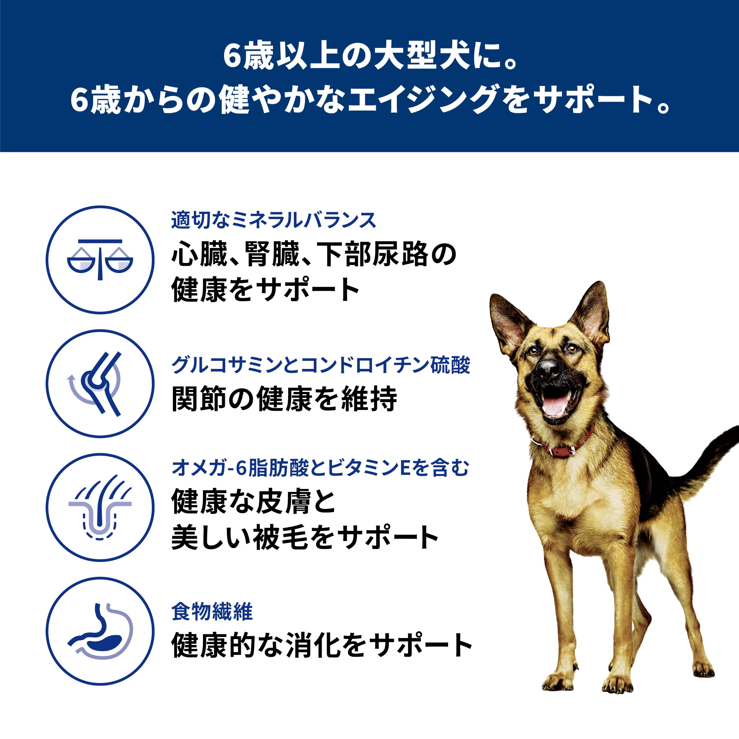 Amazon.co.jp: サイエンスダイエット ドッグフード シニア 大型犬用 6