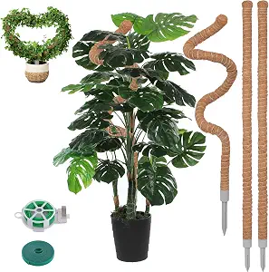 3 Pack 50 Inch Moss Poles for Indoor and Outdoor Climbing Plants