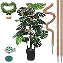 3 Pack Moss Pole, 50 Inch Monstera Plant Support, Tall Moss Poles for Climbing Plants Indoor DIY, Coco Coir Plant Pole Moss Plant Stick Support Stake Kit for Potted Plants, Pothos, Philodendron