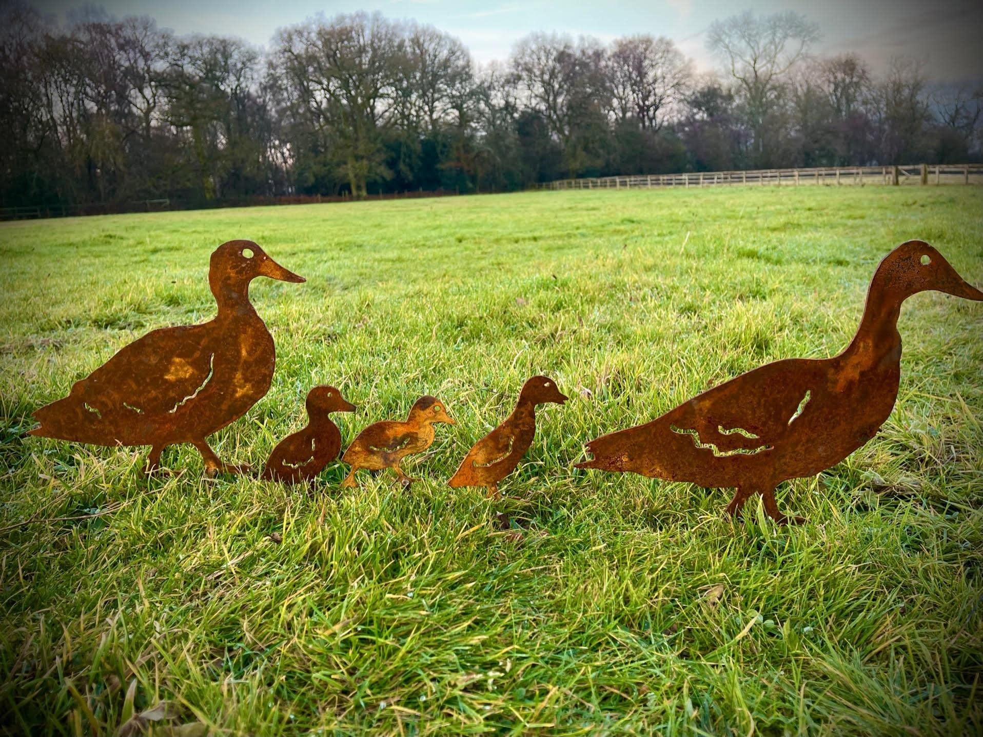 Esterno Rusty Metallo Anatra Famiglia Quack Fattoria Animali Giardino Palo Giardino Arte Stagno Arte Vegetale Patch Fiore Letto Scultura