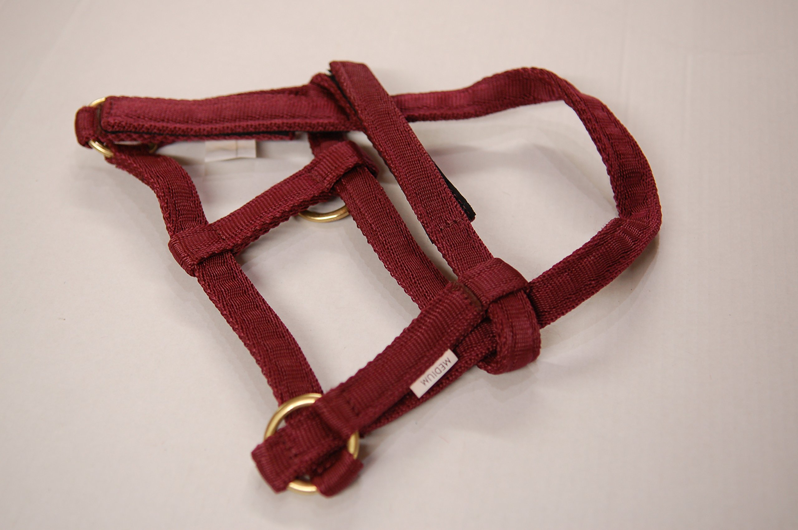 IV Horse Wee Pony Safety Turnout Headcollar (Burgundy, Small) — image 1