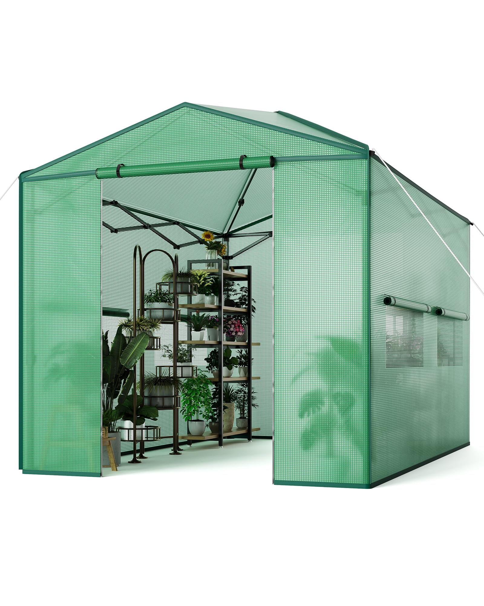 Cachpib Walk-in Greenhouse with Windows Garden Plant Growhouse