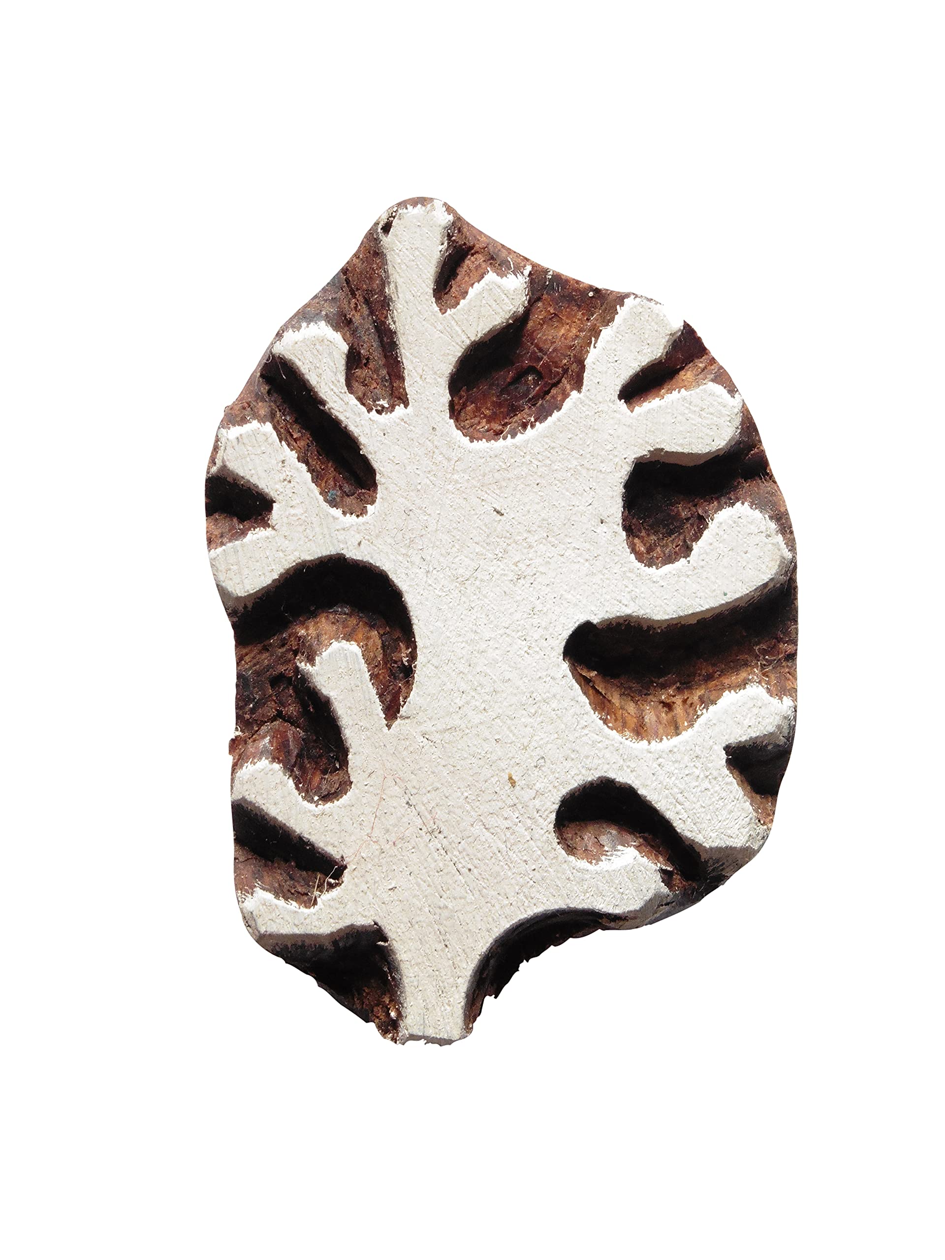 Pilgrims Fair Trade Coral Seaweed Seaside Shaped Indian Hand Carved Wooden Printing Block Stamp