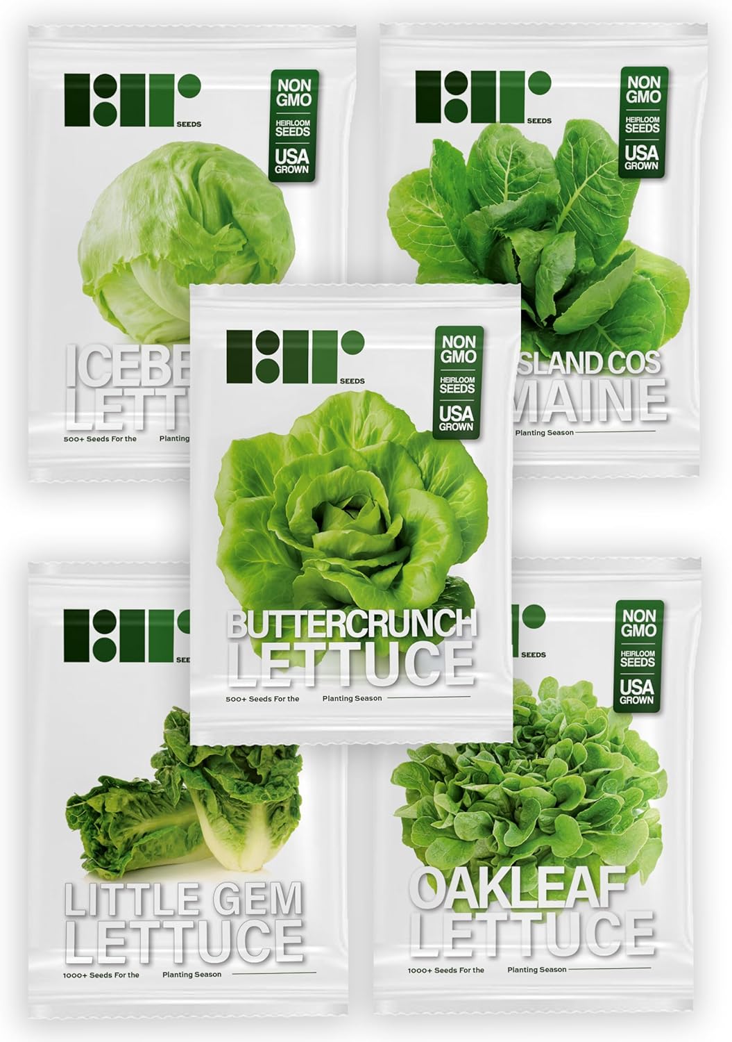 Lettuce Seeds for Planting Variety Pack - 5 Types of Lettuce - Buttercrunch, Parris Island Cos, Oakleaf, Little Gem, and Iceberg