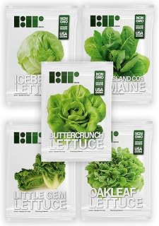 Lettuce Lettuce Seed Variety Pack
