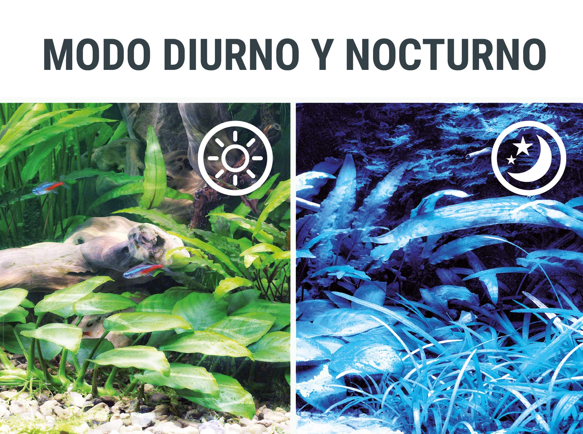 Tetra Lámpara LED Tetronic Proline 580, Lámpara de acuario LED de calidad