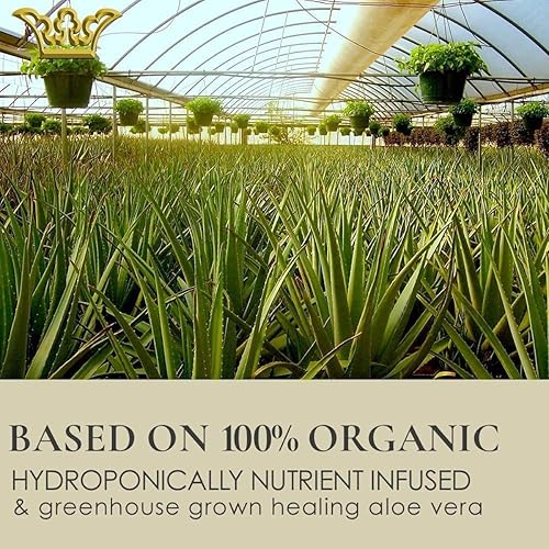 Miniatura 7 de GUNILLA Cell Rejuvenator Activo Serum  Versátil Hidrata Anti-Envejecimiento Plumps Nutre cura  68 de Aloe Colágeno Elastina Revitalina Queratina