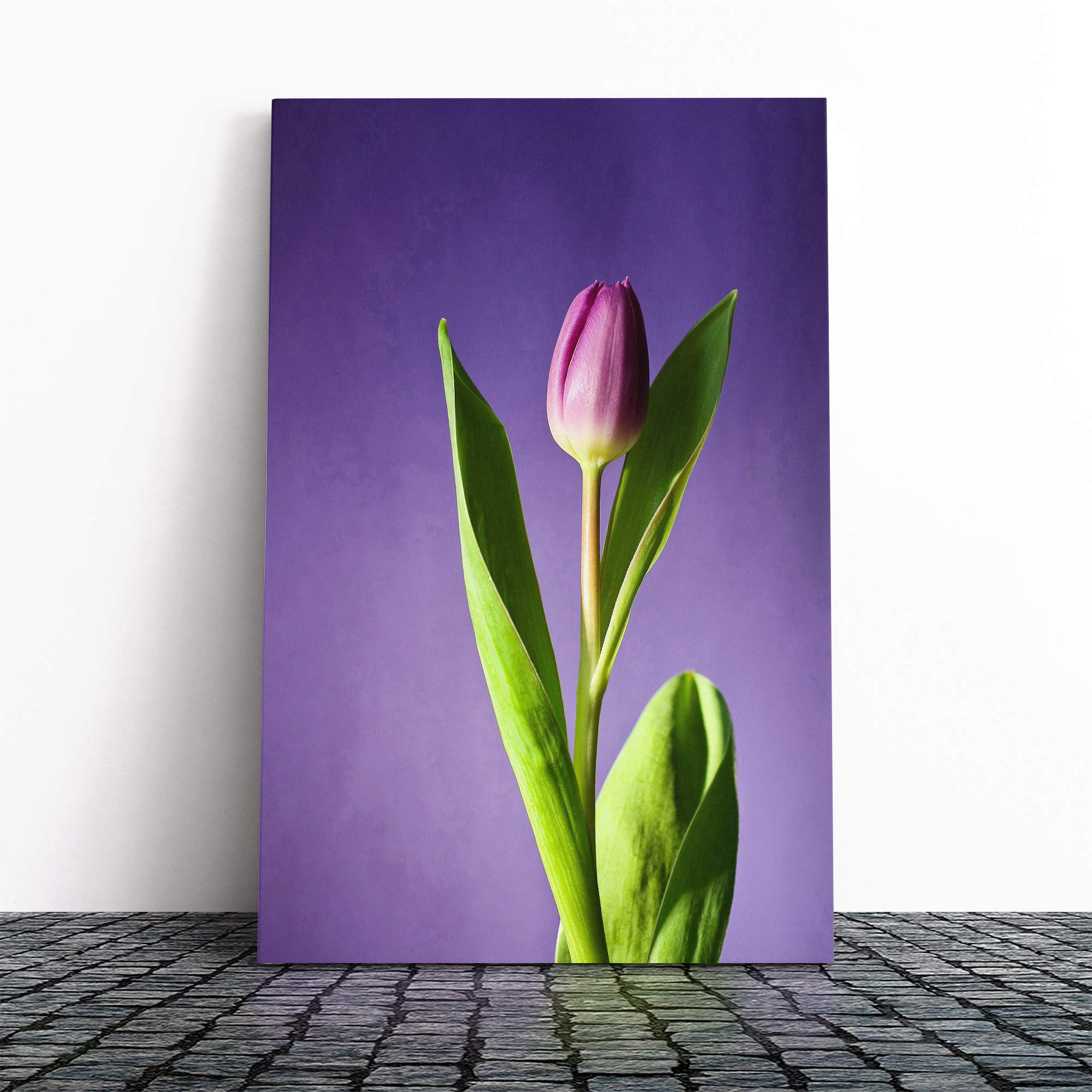 Pink Purple Tulip Flower (4) Canvas Print | Gallery Wrapped 30mm Frame Wall Art | 30x20 inches | Ready to Hang | Modern Floral Picture | Living Room Bedroom Lounge Office