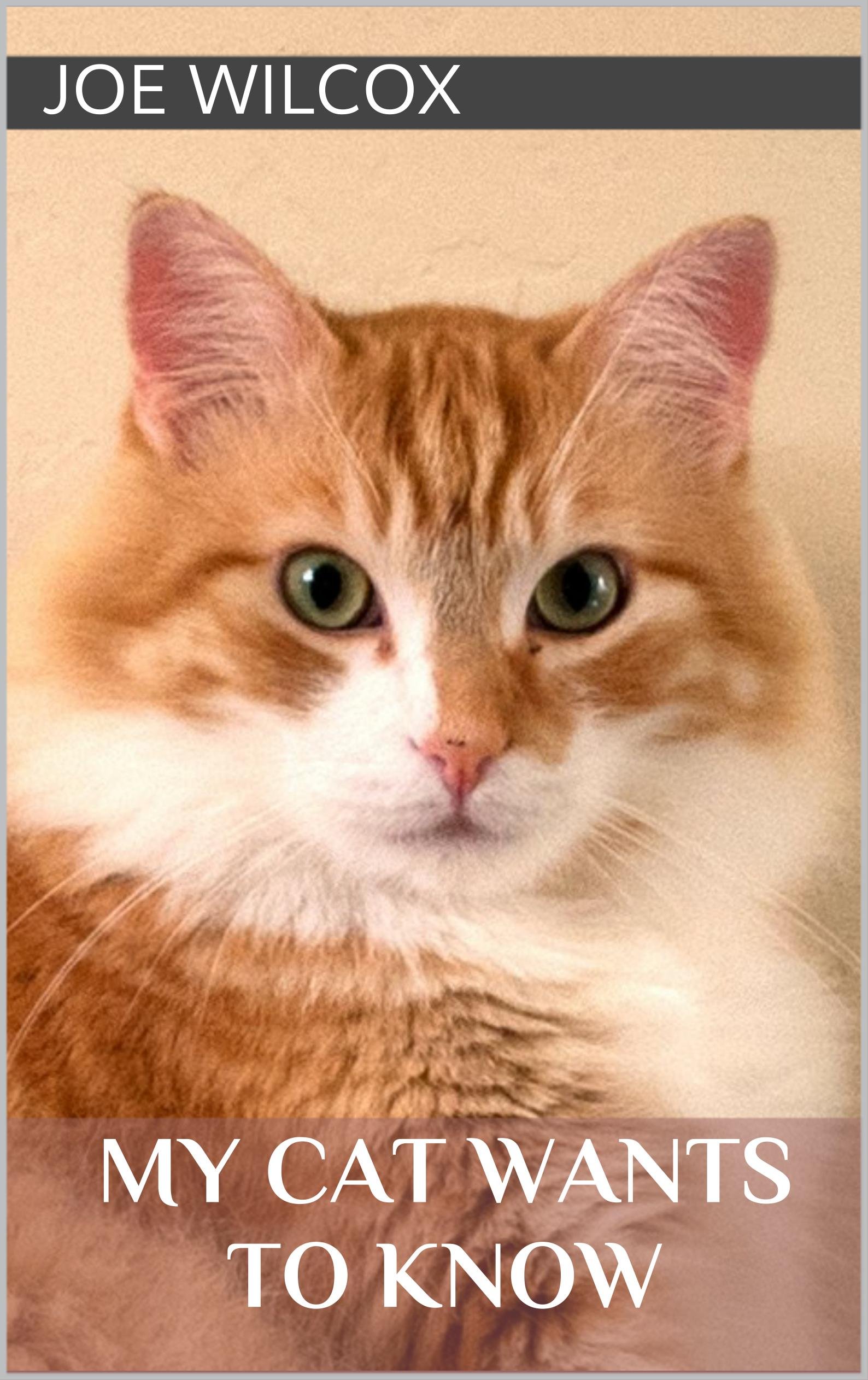 My Cat Wants to Know