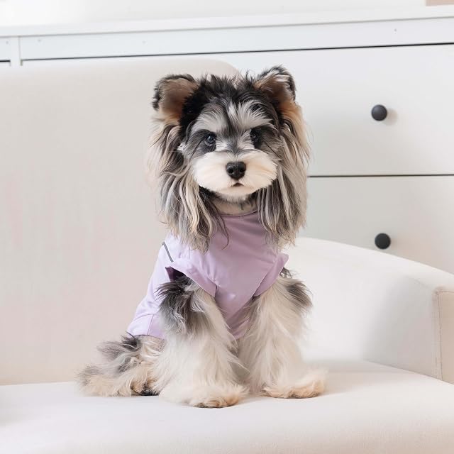 Foto 6 de 6 de Izefia Camisetas para Perros Ropa Camiseta para Perro Pequeño Chaleco Deportivo Reflectante Elegante…
