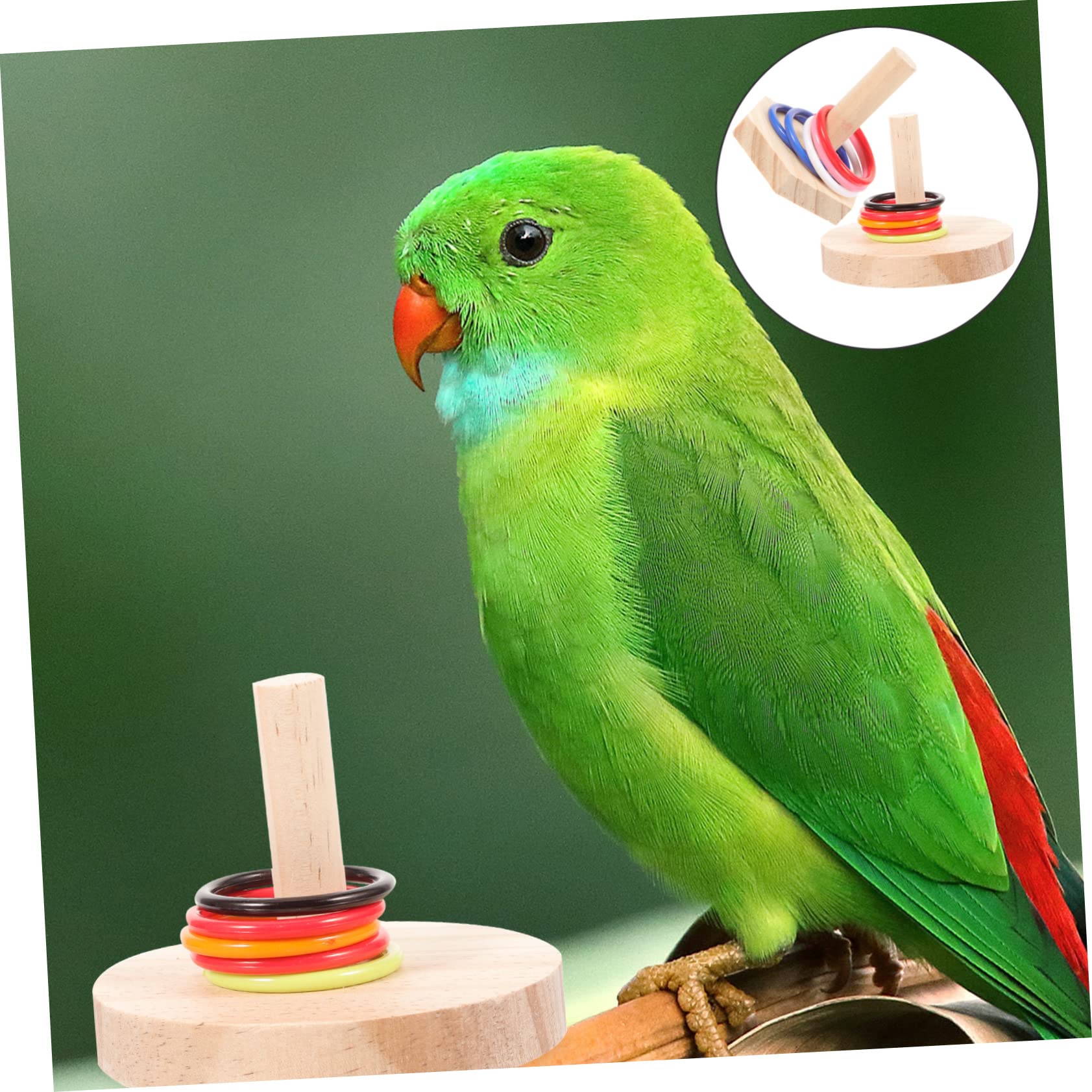 minkissy 8 Sets Papageienspielzeug Für Große Vögel Interaktives Rotierendes Sitzstangenspielzeug Vogelsittich-intelligenzspielzeug Vogel-lernspielzeug
