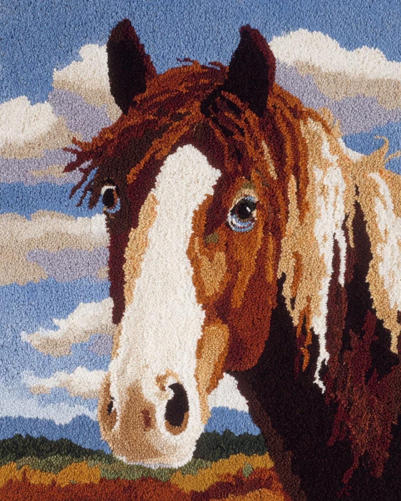 Wallphantom Latch Hook Rug Kits for Adults,Animal Horse