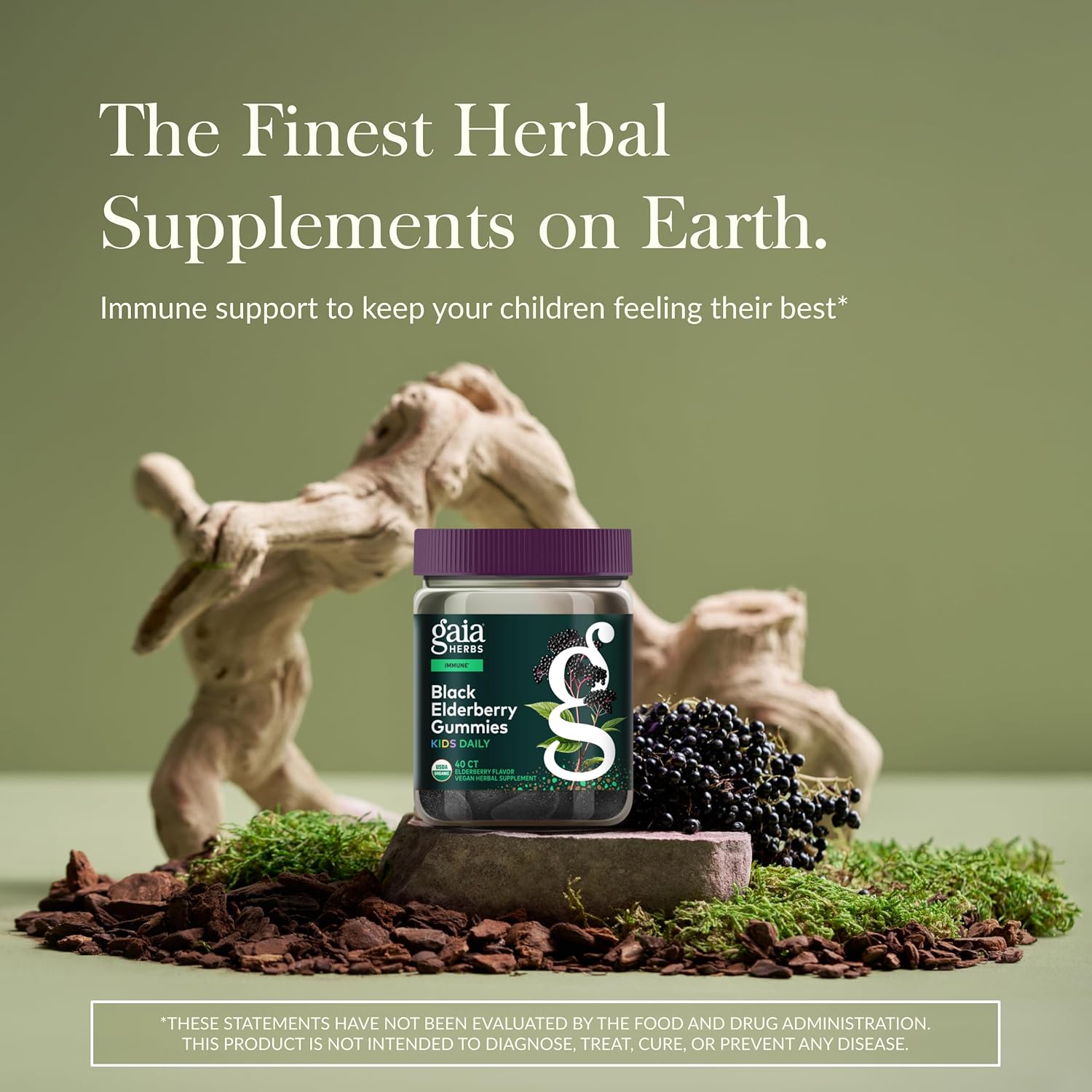 Gaia Herbs GaiaKids Black Elderberry Daily Gummies for Kids - Delicious Immune Support Supplement - Certified Organic Black Elderberries for Immune System Support - 40 Gummies (40-Day Supply) - Image 2