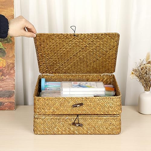 Miniatura 5 de BTSKY Paquete de 2 cestas de mimbre con tapas, contenedores de almacenamiento tejidos planos para organizar estantes, cestas de almacenamiento de