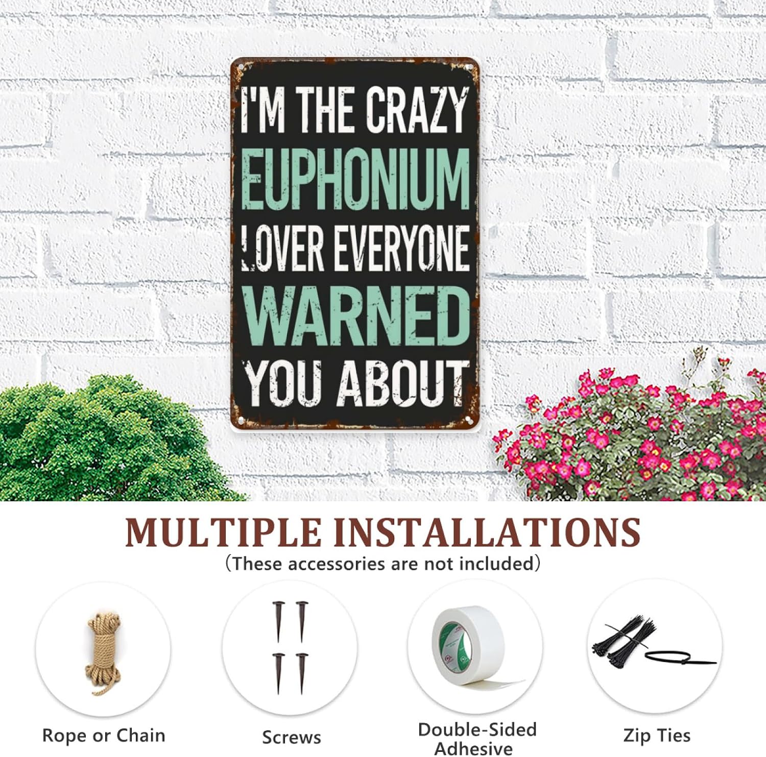 Vintage Tin Signs Crazy Lover Euphonium for Home & Garden Decor Retro Wall Plaques,Aesthetic Posters & Unique Wall Art 8x12IN