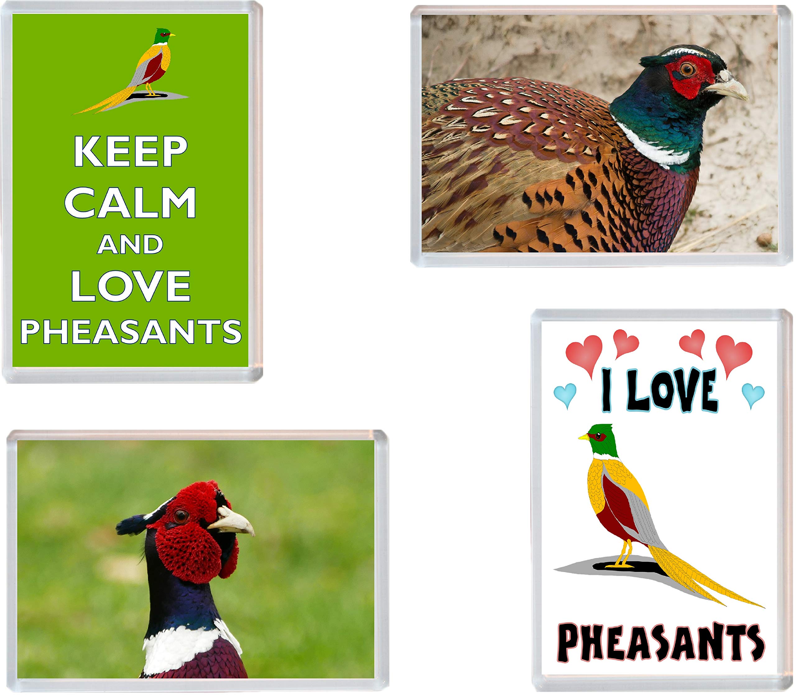 Pheasant/Pheasants - 4 PACK - Jumbo Fridge Magnet/Magnets ID370
