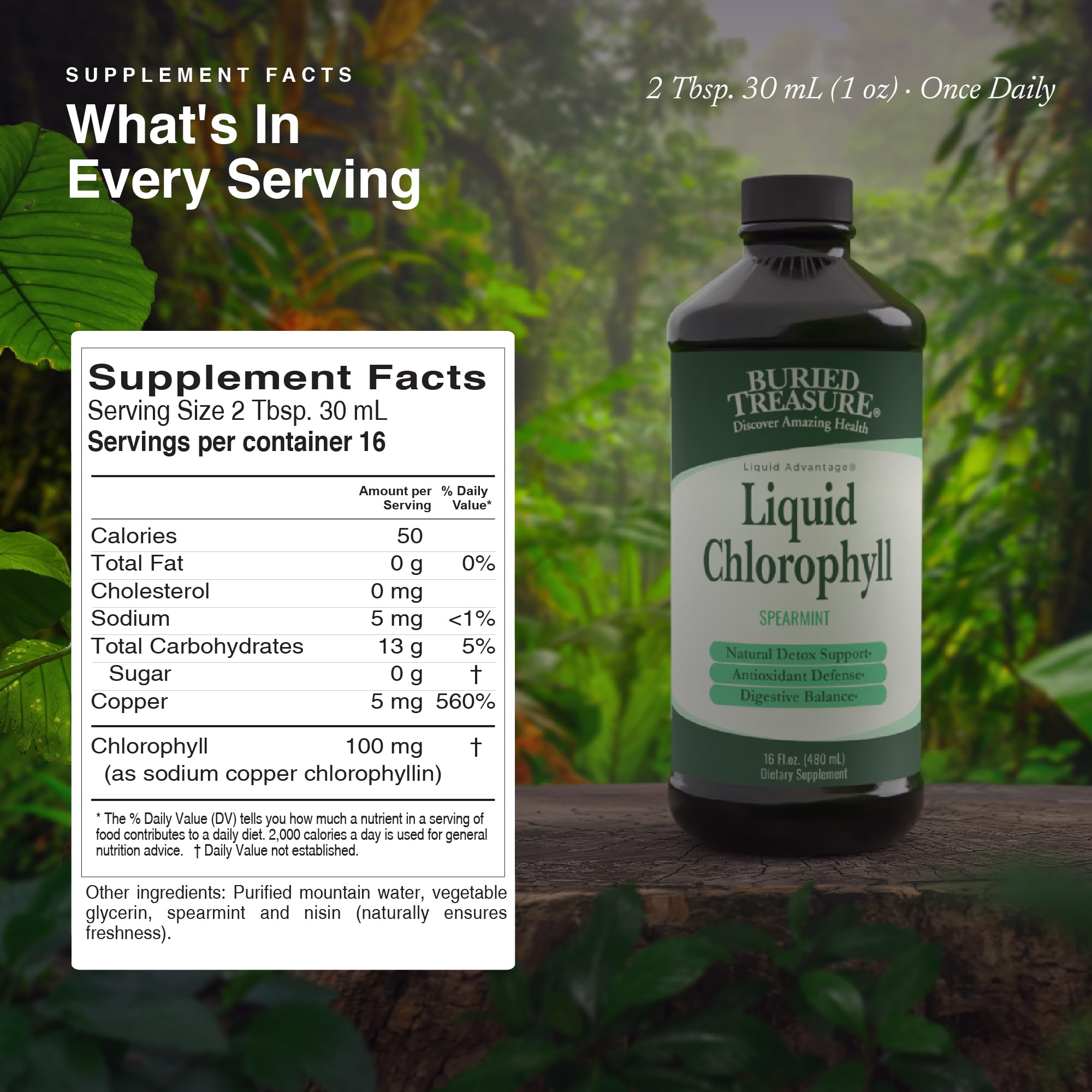 Buried Treasure Liquid Chlorophyll 100 mg Dietary Supplement, Energy Boost Immune Support Detox Intestinal Digestive Support Natural Body Deodorant Vegan Non-GMO Alcohol Free Spearmint Flavor,16 oz — Amazon image 2