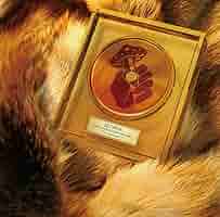 Man CD DVD シングル アルバム　14枚まとめ売り Man アルバム まとめ売り Amazon | Mega Man ZX (輸入版