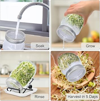Sprouting Jar, Sprouts Growing kit, Mason Jar for Bean Sprouts Grow, Seed Sprouter Set for Growing Alfalfa, Mung Bea
