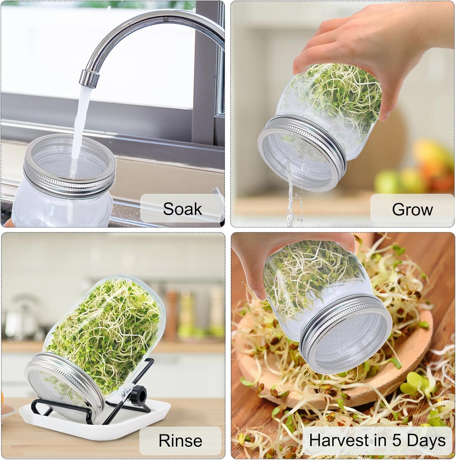 Pot de germination, kit de culture des germes, pot Mason pour germes de haricots, kit de germination de graines pour la luzerne, mung bea