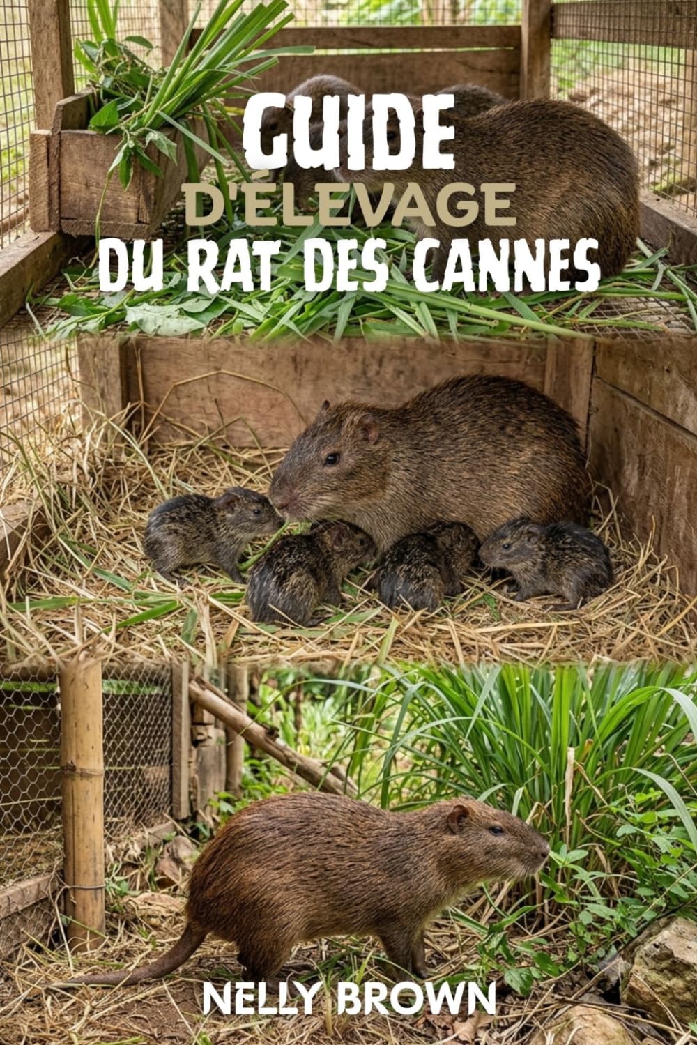 Guide D'élevage du Rat de Canne: 12 étapes essentielles pour élever du bétail en bonne santé et éviter les erreurs courantes en agriculture