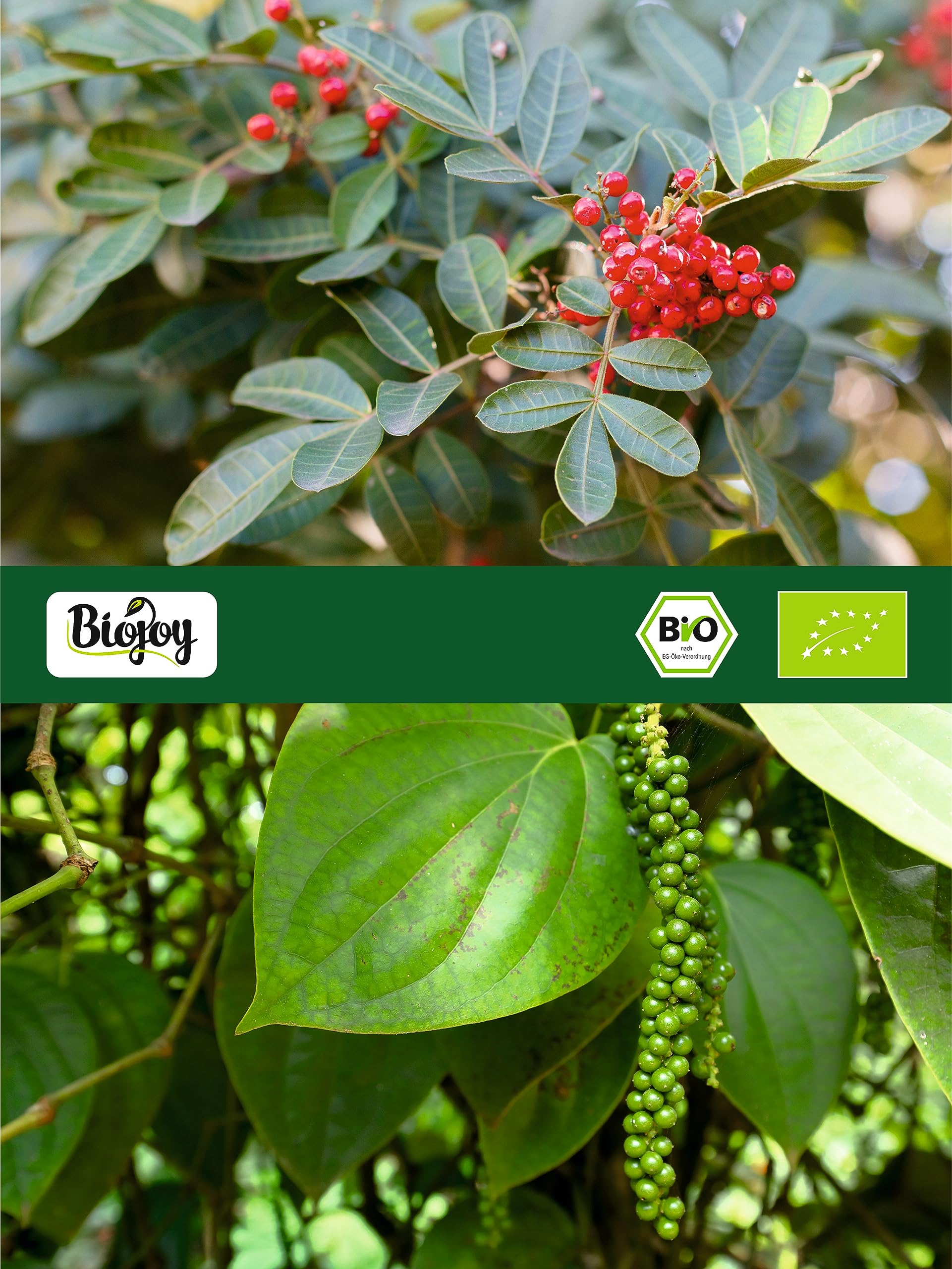 Biojoy Grani di pepe misto BIO (500 g), interi grani, Pepe Mix (bianco, rosa, verde, nero)