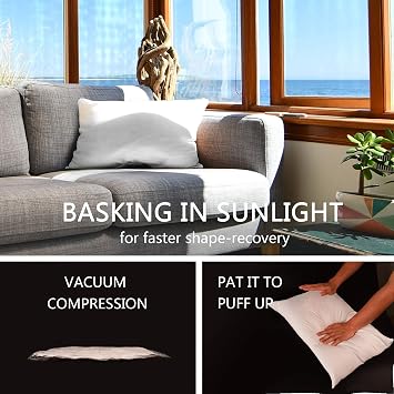 EDOW Luxury Throw Pillow Insert, Soft Fluffy Down Alternative Polyester Square Form Decorative Pillow Insert,Sham Stuffer,Cotton Cover for Sofa, Couch,Bed and Car. (White, 12x20)