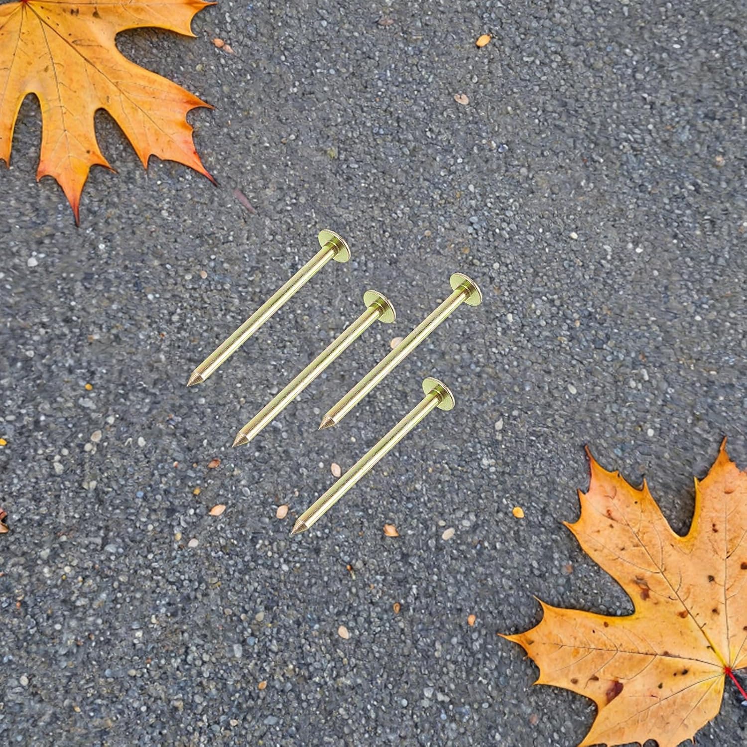 TABLETREANDS 20pcs Property Line Markers - Galvanized Survey Stakes Metal Low Profile Ground Nails For Precise Property Line Marking - Survey Markers For Landscaping Garden Yard Paver
