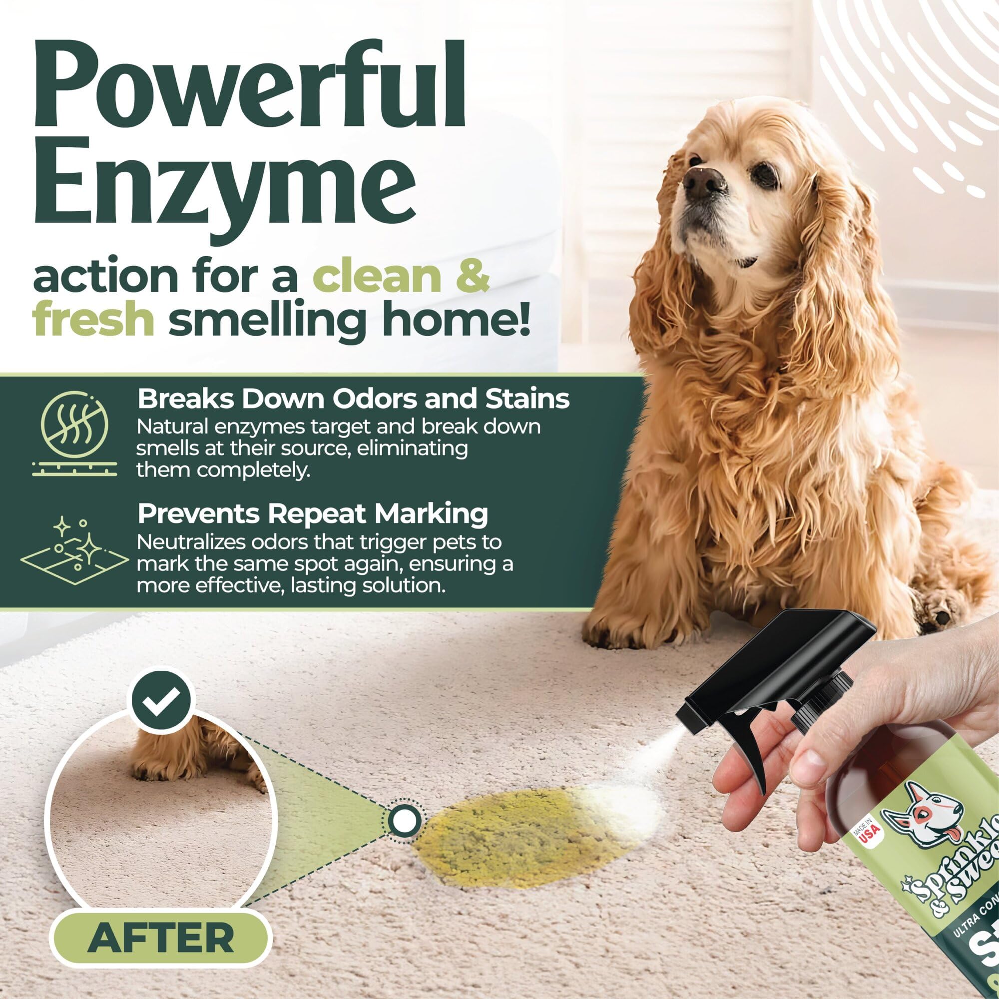 Spray limpiador enzimático de enzimas para gatos y perros, eliminador de manchas y olores de orina para gatos y perros, limpiador enzimático de alfombras para mascotas, limpiador enzimático de enzimas