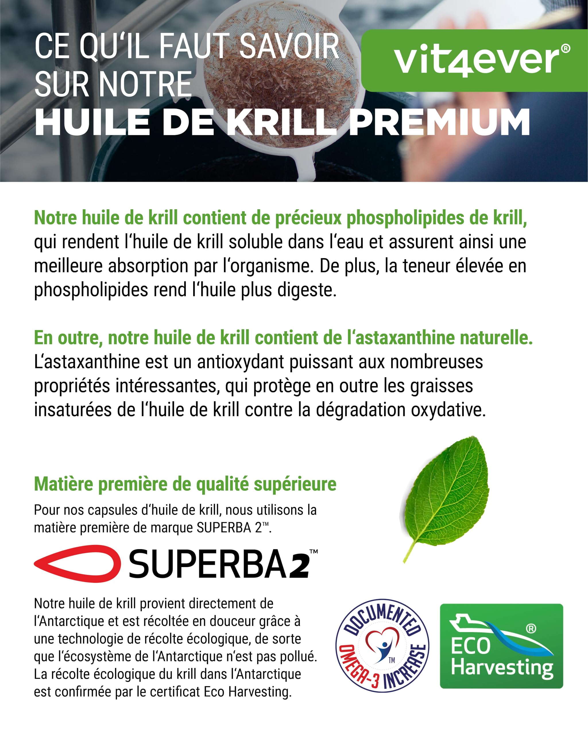Huile de Krill - 120 Capsules - Premium : Huile de Krill de l'Antarctique Superba - Riche en EPA + DHA + Astaxanthine + Phospholipides + Acides Gras Oméga 3 - De Culture Durable