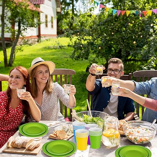 Miniatura 7 de Juego de 240 piezas de vajilla de fiesta de arco iris, 60 platos de papel coloridos y servilletas de 9 onzas, paquete completo, juego de vajilla