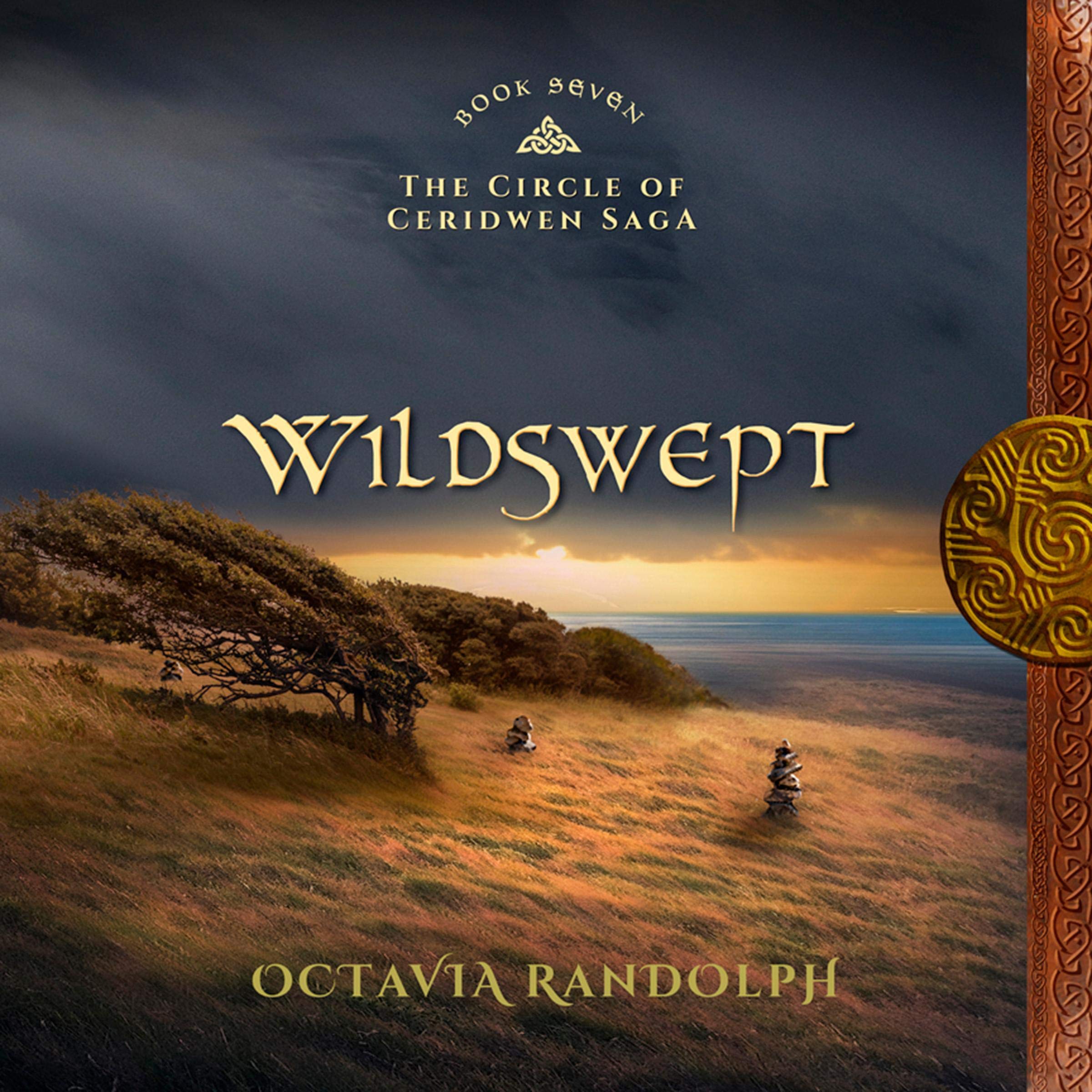 Cover art for Wildswept