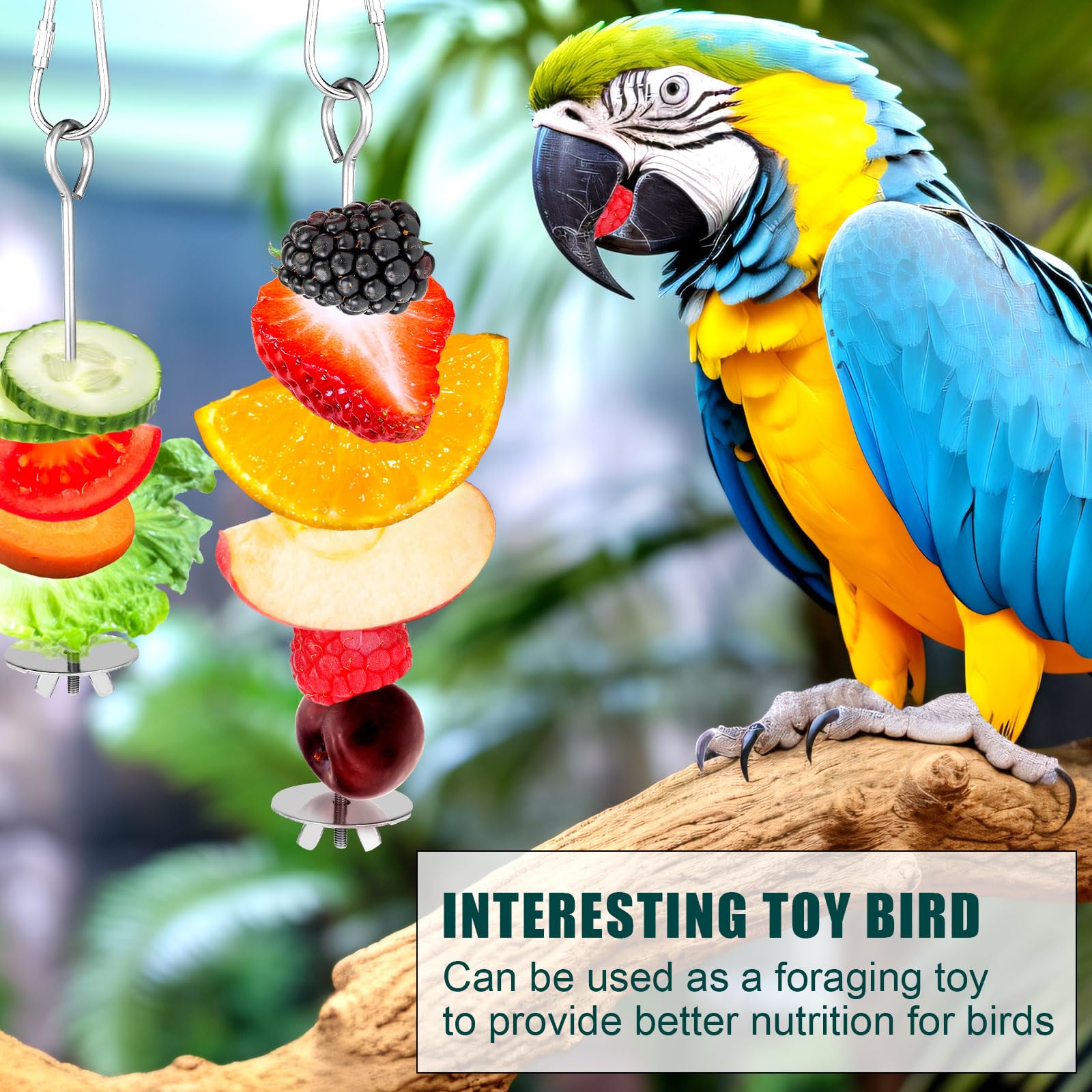 2pcs Brochette pour Oiseaux, Acier Inoxydable Brochette Fruits Oiseaux avec Crochet Mangeoire à Fruits pour Oiseaux Jouets de Recherche de Nourriture pour Perruche Ara Perroquet