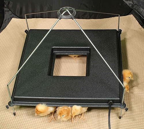 Miniatura 9 de Incubator Warehouse Insta Brooder con placa calefactora Vrooder - Corralito desplegable de pollo con parte superior de malla extraíble - Pluma de