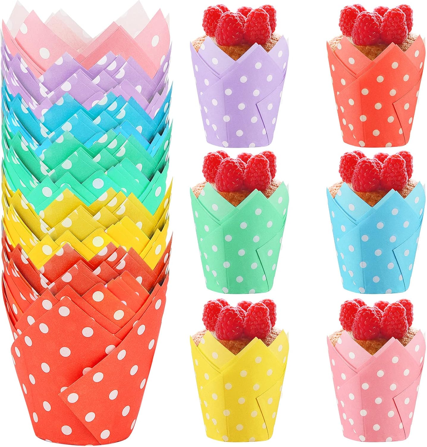 Tessco 210 Pcs Polka Dots Tulip Cupcake Liners Colorful