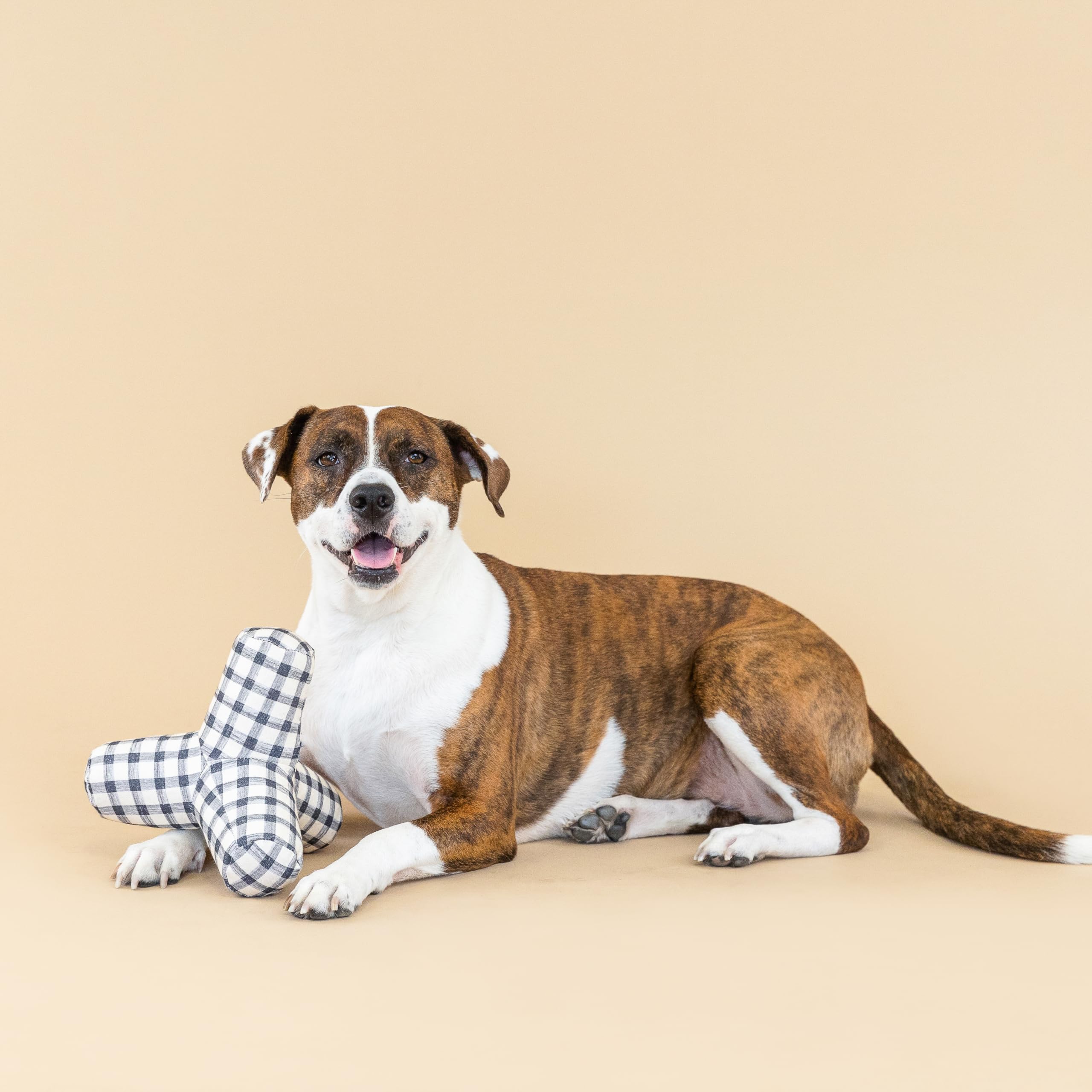 Fringe Studio 523032 Jouet pour chien en toile Vichy peint en 3D