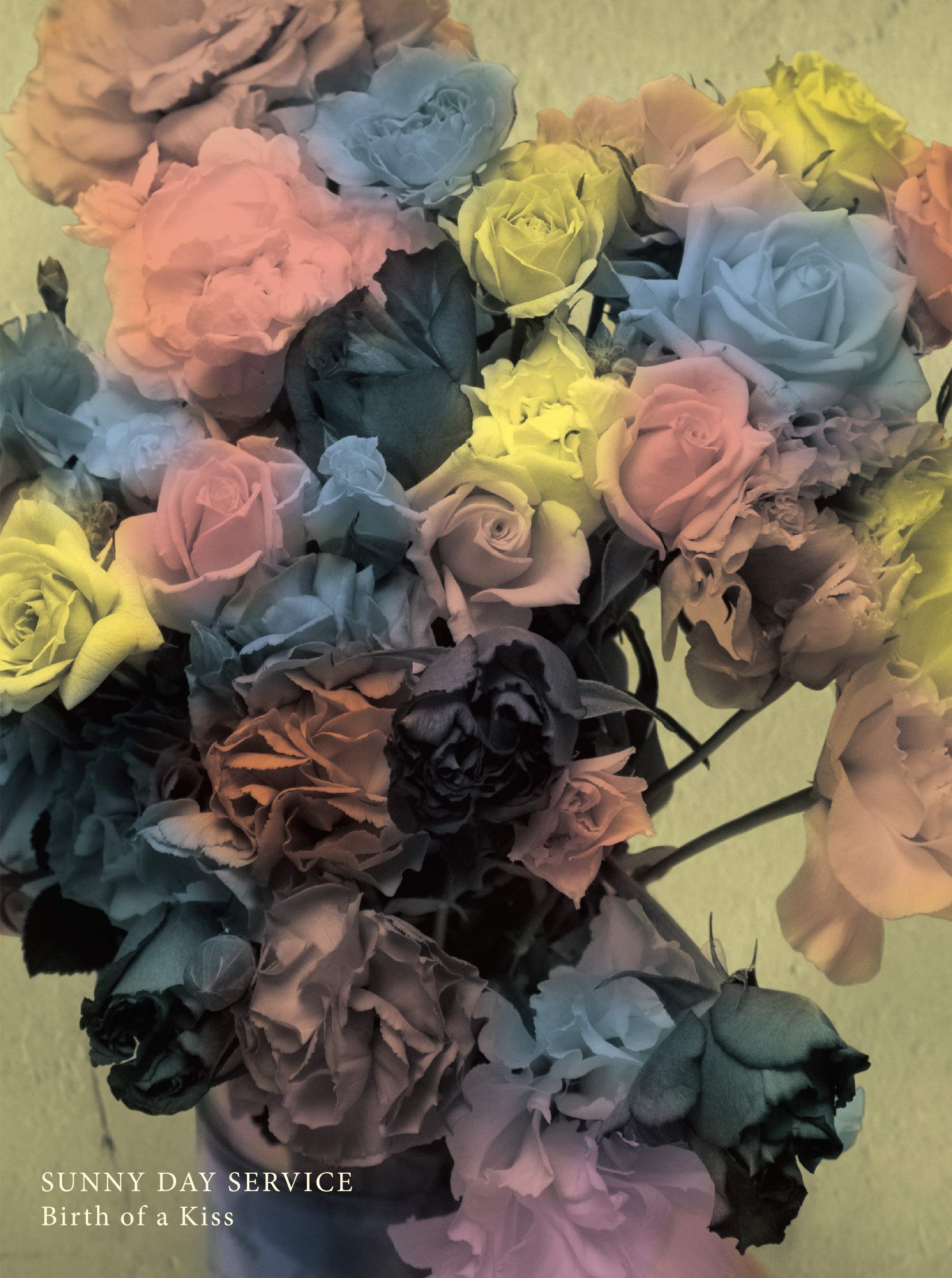 サニーデイ・サービス birth of a kiss 初回盤 BOX 廃盤 サニーデイ・サービス birth of a kiss 初回盤 BOX 廃盤 Amazon