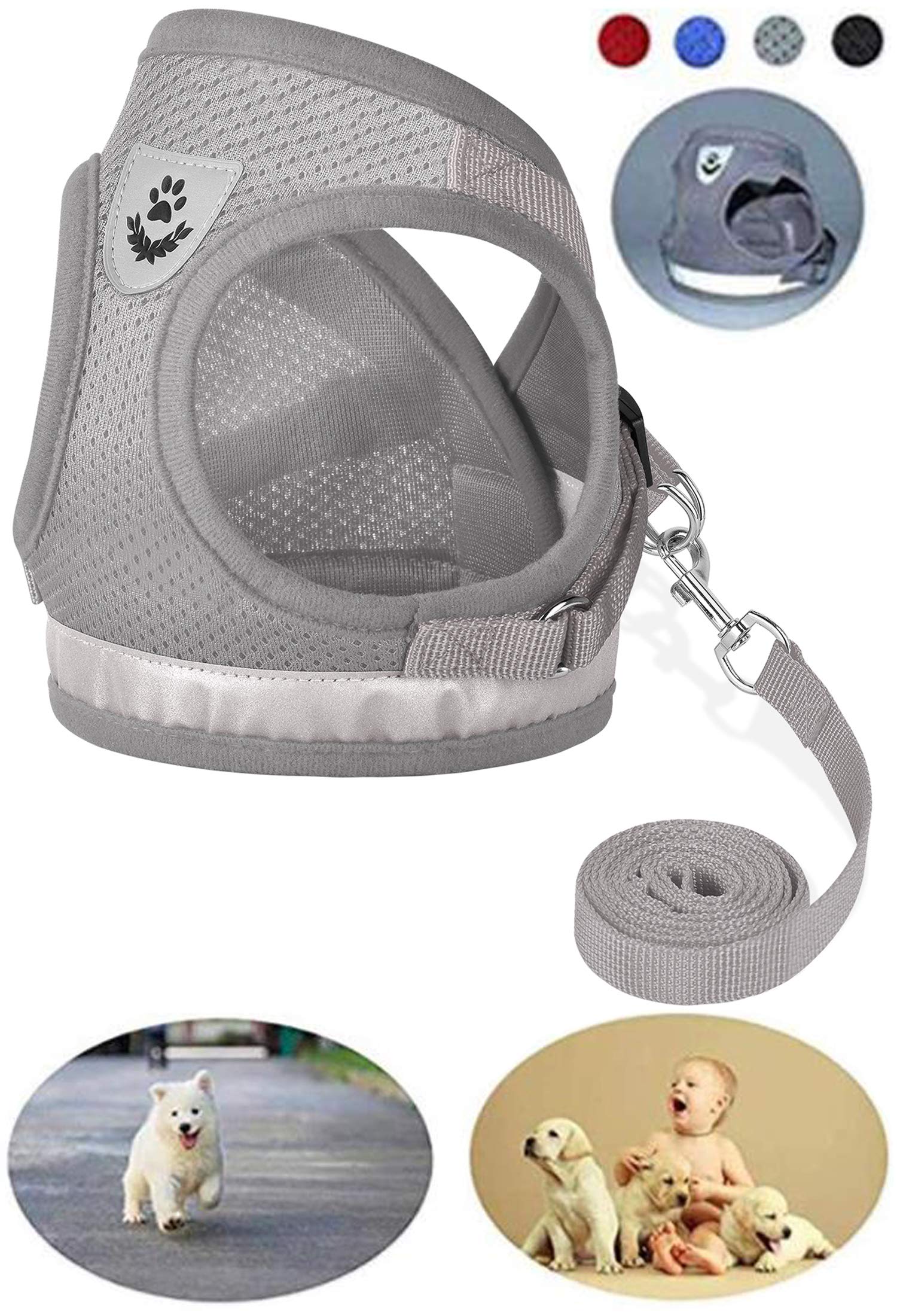 10 Best Cat Collars, Harnesses And Leashes 2023 Reviews & Ratings