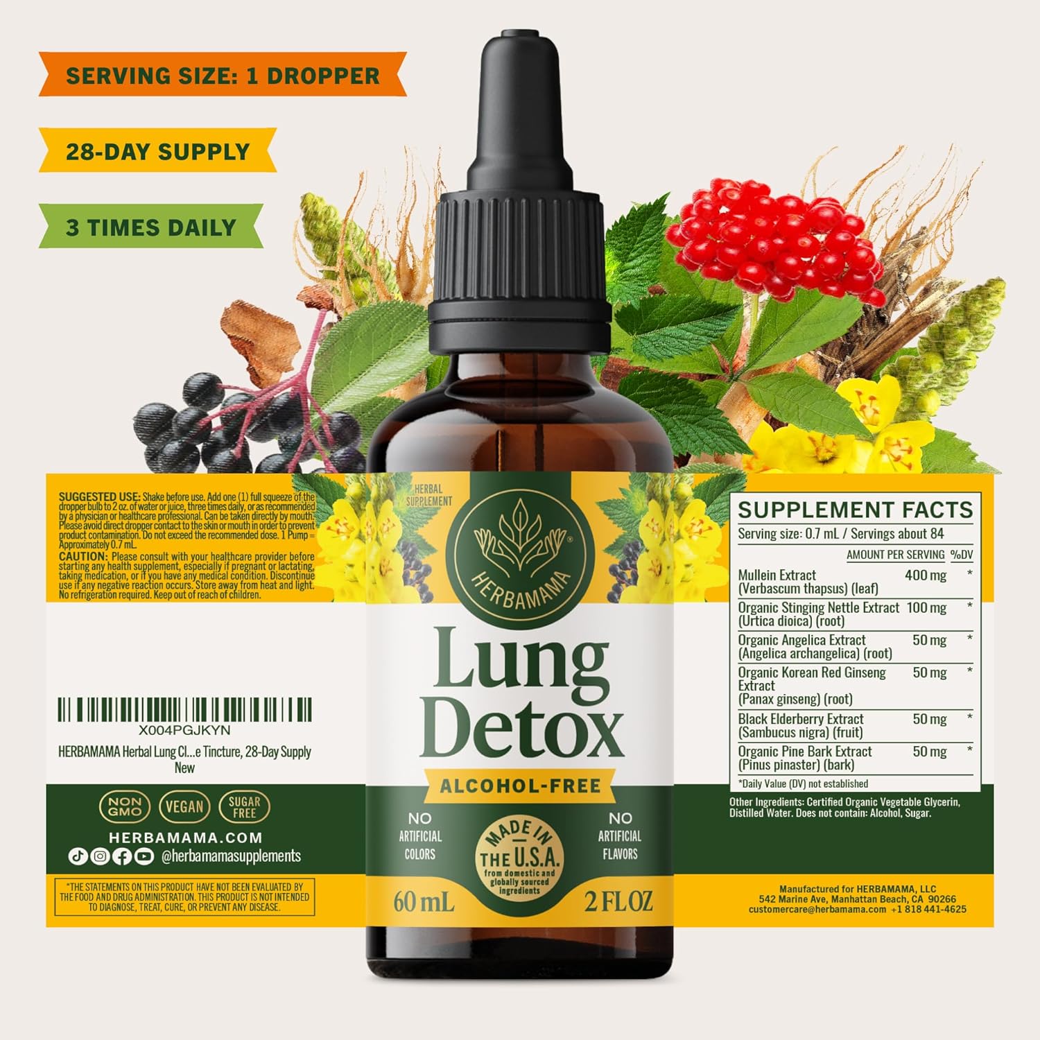 HERBAMAMA Herbal Lung Cleanse Drops with Mullein Leaf - Respiratory Lung Support Supplement with Stinging Nettle & Korean Red Ginseng Extract - Non-GMO, Alcohol & Sugar-Free Tincture, 28-Day Supply - Image 8