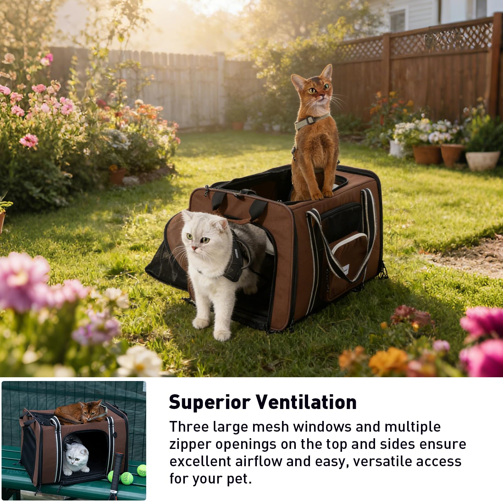 Bolsa de transporte expandible para mascotas para gatos y perros pequeños de hasta 10 kg, transportador de viaje de un solo hombro con malla transpirable, asas y bolsillos de almacenamiento