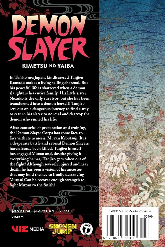 Amazon.com: Demon Slayer: Kimetsu no Yaiba, Vol. 22