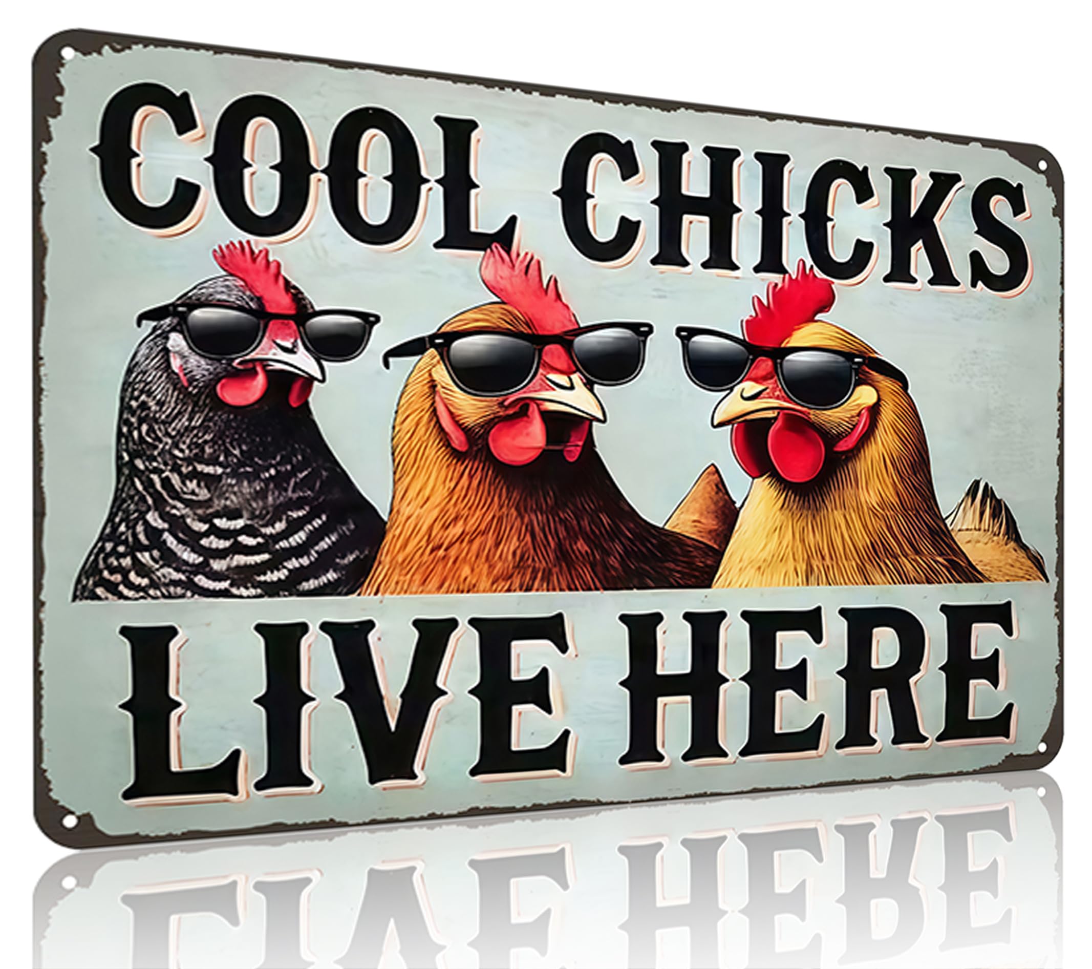Chicken Decor Cool Chicks Live Here Vintage Tin Sign for Chicken Coop Farm Kitchen Garden Yard Decor 8x12 INCH (3830)