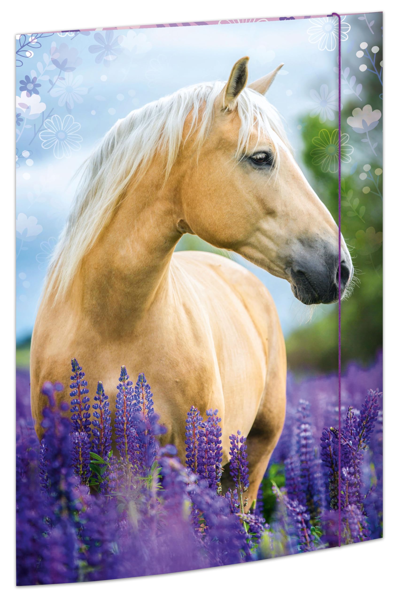 RNK 45381 – Drawing Folder Horse Dreams 310 x 440 mm, Document Folder for DIN A3, with Elastic Closure, Pack of 1
