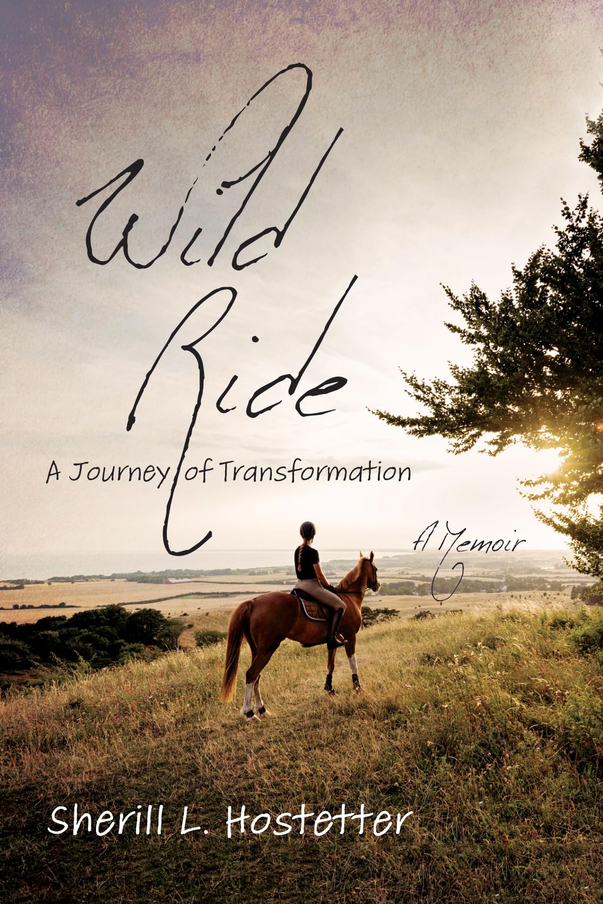 Wild Ride: A Journey of Transformation--A Memoir