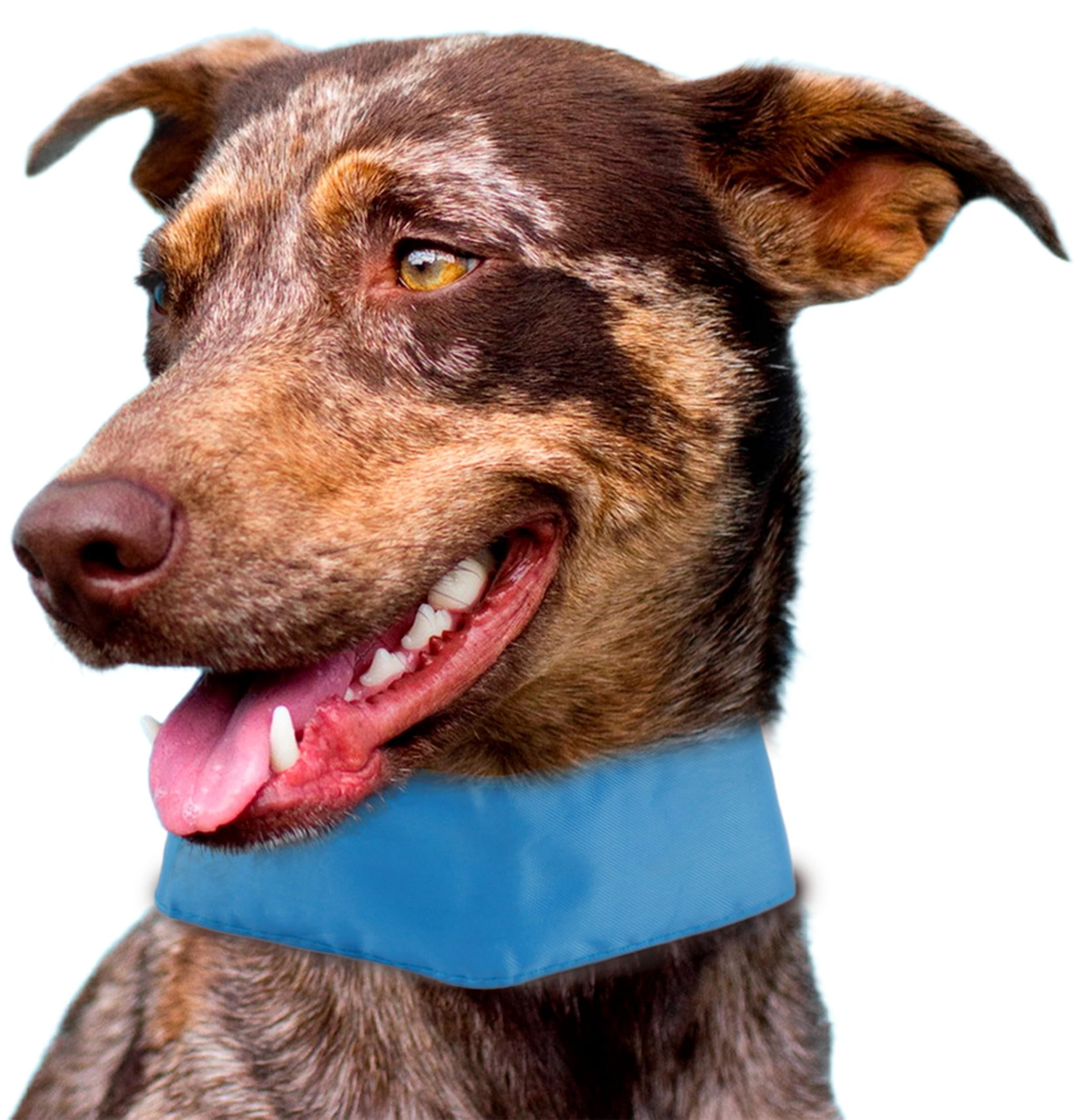 Amazon.com: Pet Life ® Summer-Cooling' Insert Able and Adjustable