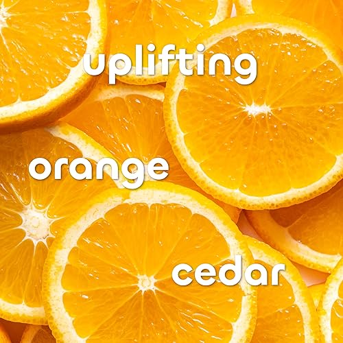 Miniatura 6 de Crema corporal que elimina toxina The Seaweed Bath Co. Crema Corporal