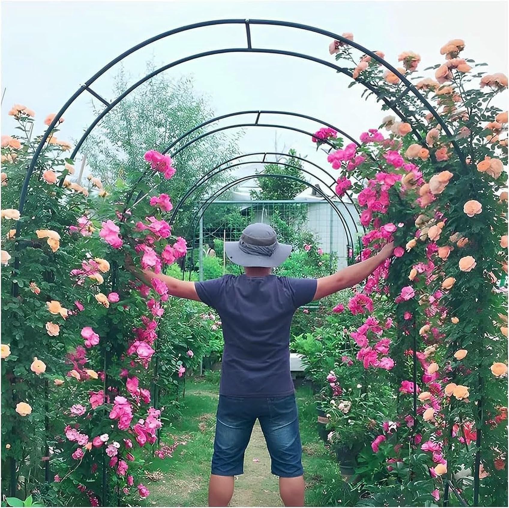 Treillis de roses élégant en métal blanc structure robuste pour aménagement paysager