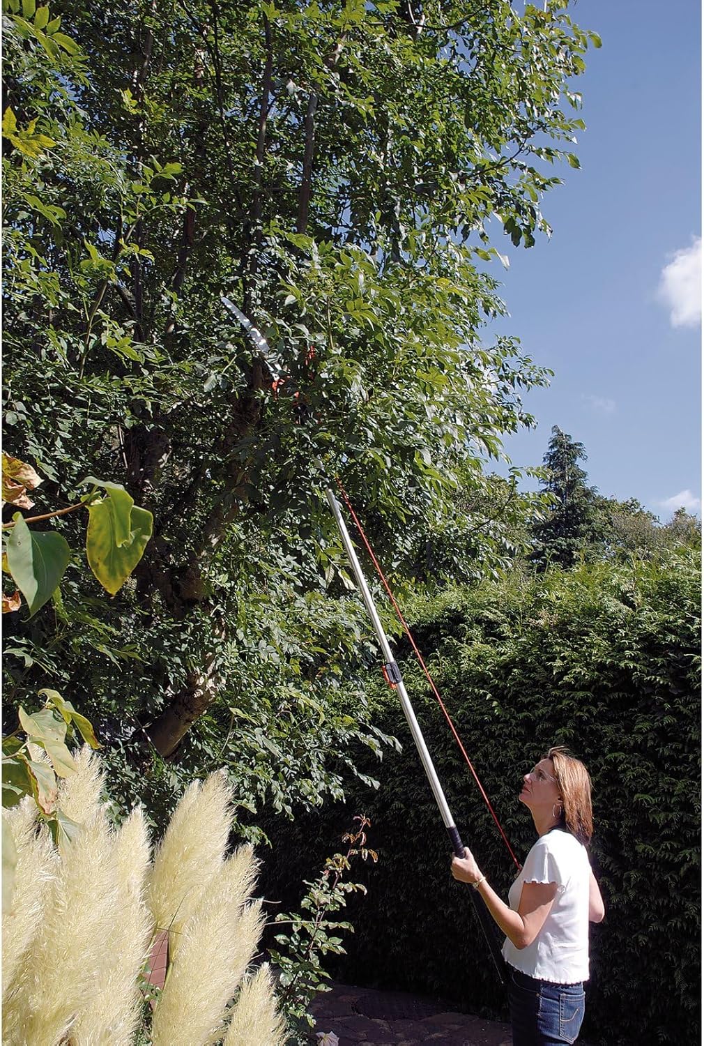Draper DRA45334 Expert Diameter Tree Pruner with Telescopic Handle and Cutting Capacity,Blue,32mm